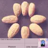 Phanton & Chill Fi Records - Little Almond - Single